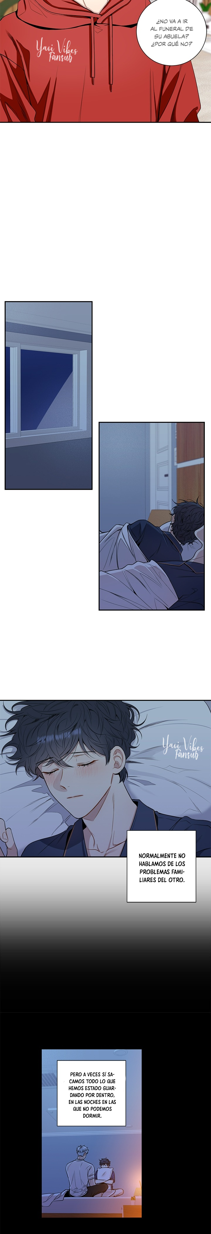 12 Flores de cerezo después del invierno T5