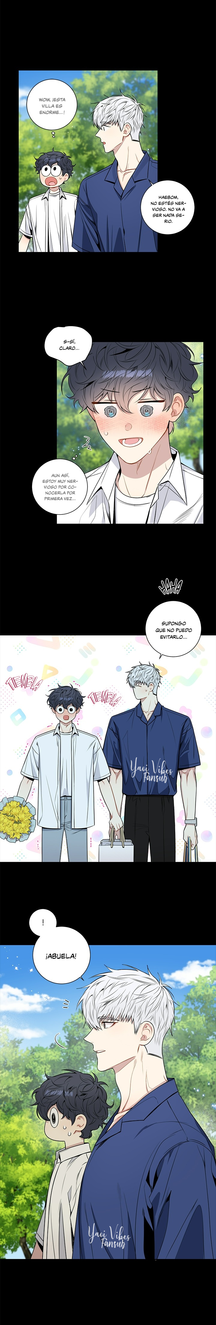 14 Flores de cerezo después del invierno T5