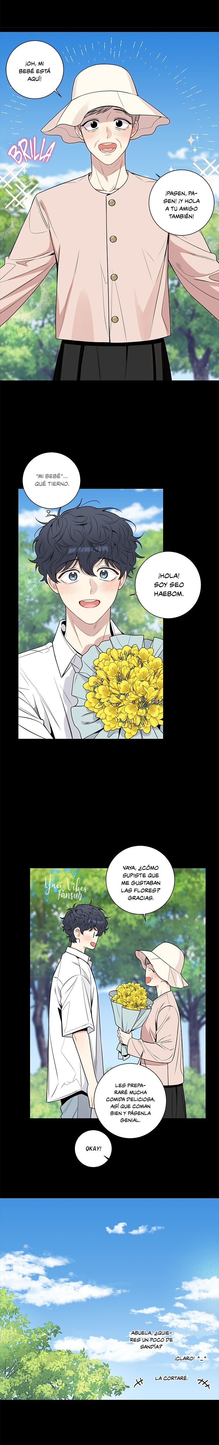 15 Flores de cerezo después del invierno T5