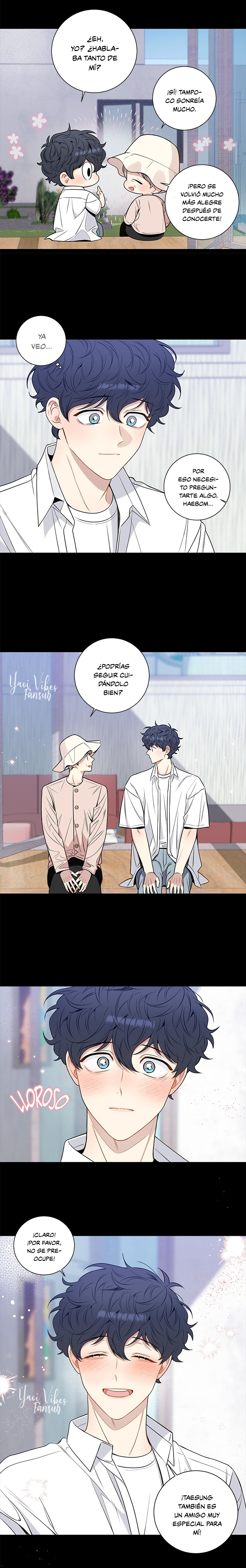 17 Flores de cerezo después del invierno T5