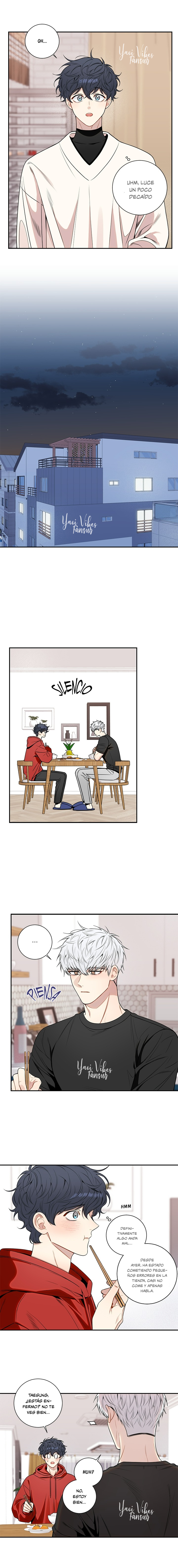 10 Flores de cerezo después del invierno T5