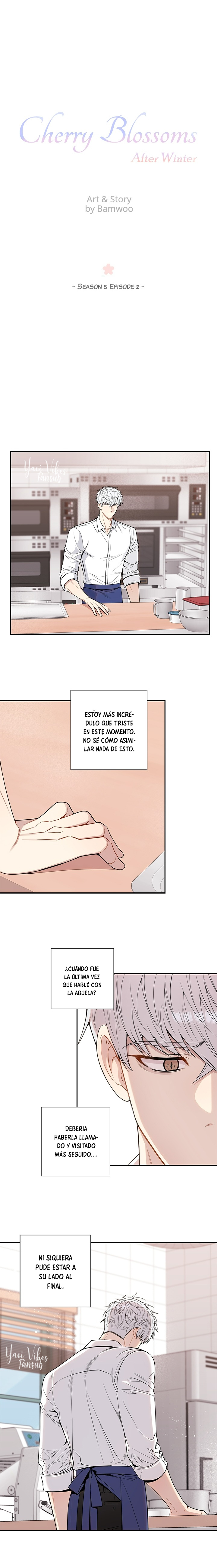 8 Flores de cerezo después del invierno T5