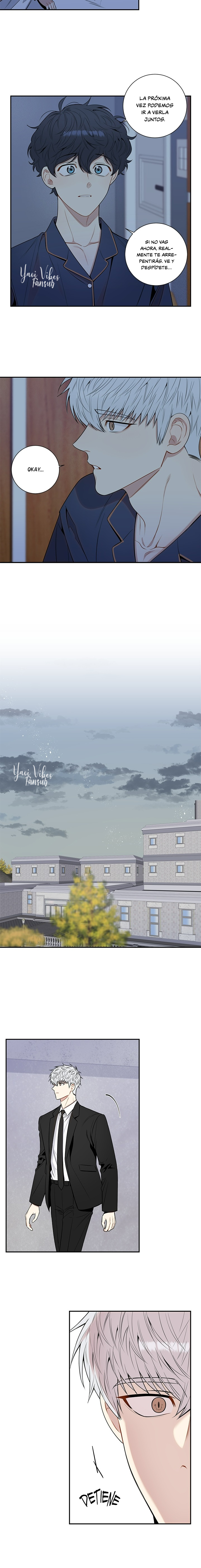 19 Flores de cerezo después del invierno T5