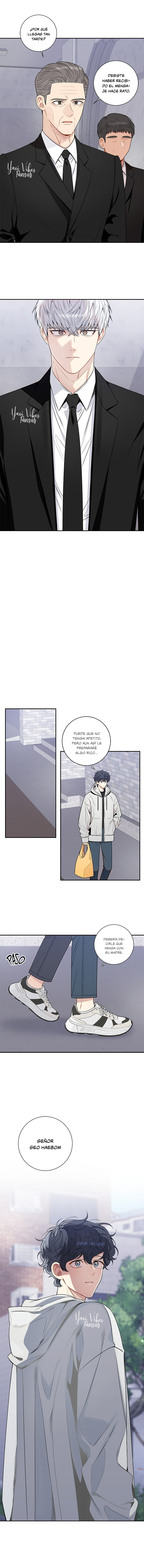 20 Flores de cerezo después del invierno T5