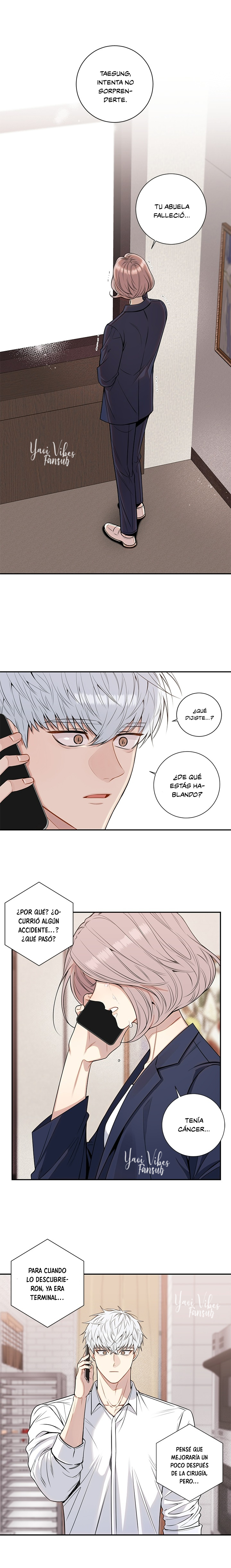 6 Flores de cerezo después del invierno T5