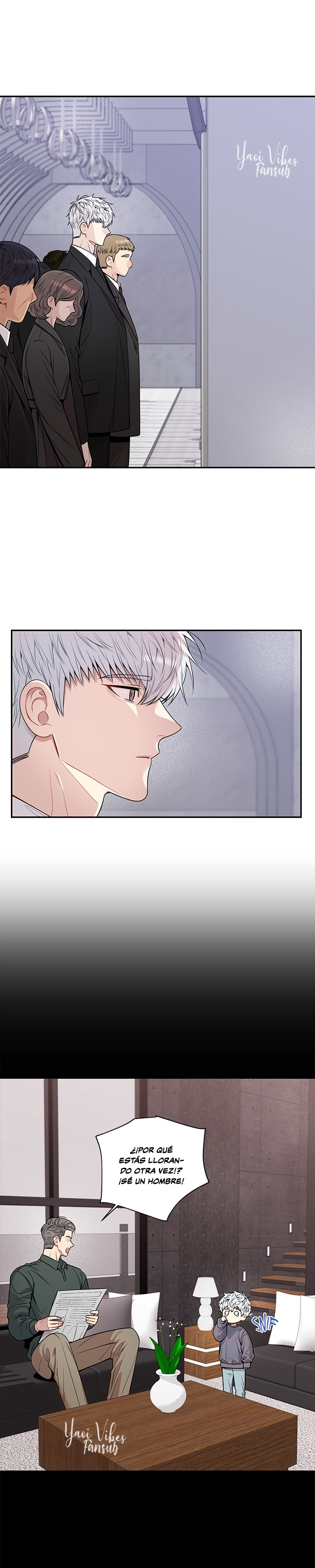 6 Flores de cerezo después del invierno T5