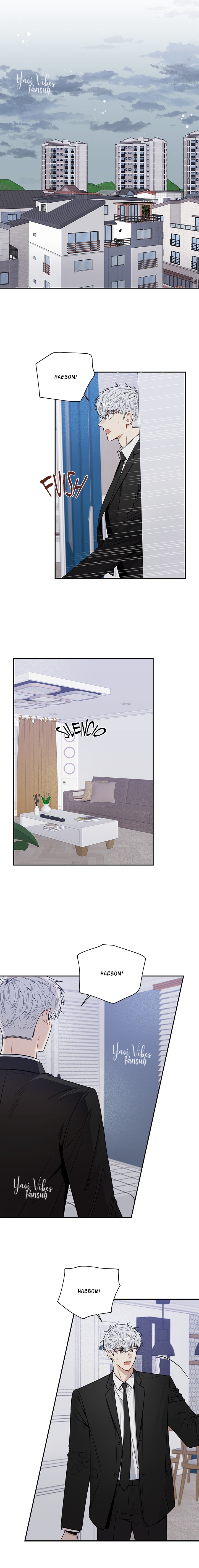 19 Flores de cerezo después del invierno T5