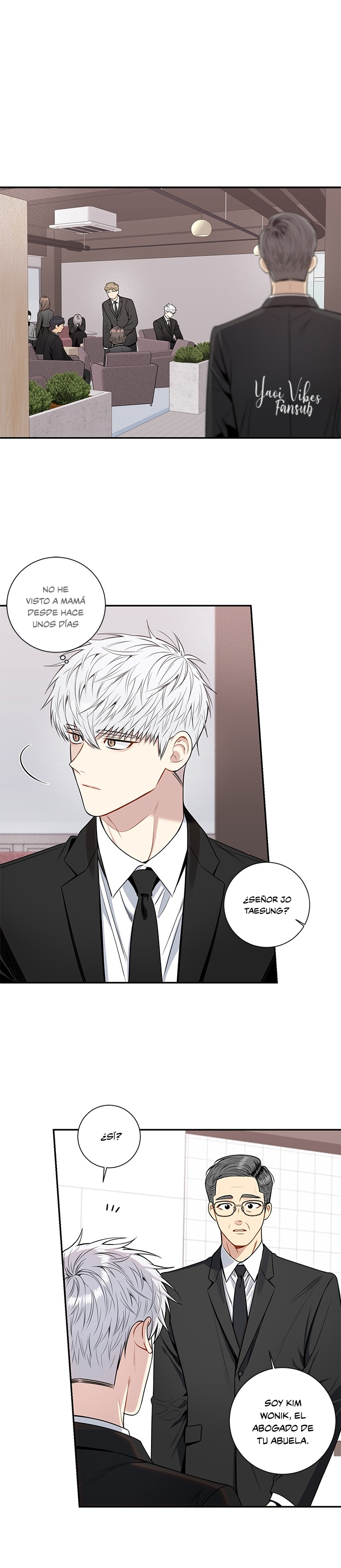 10 Flores de cerezo después del invierno T5