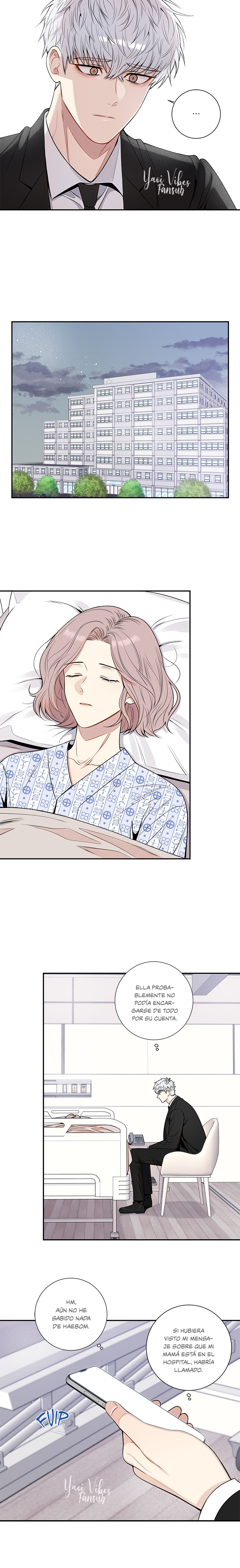 14 Flores de cerezo después del invierno T5