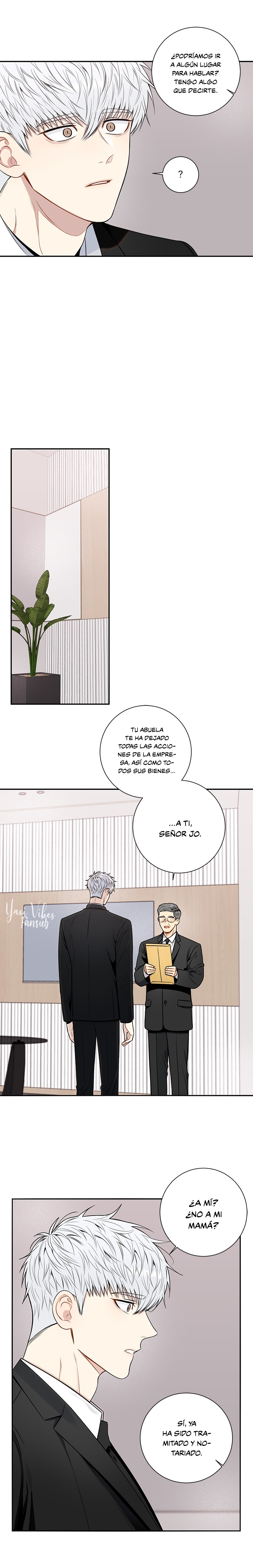 11 Flores de cerezo después del invierno T5