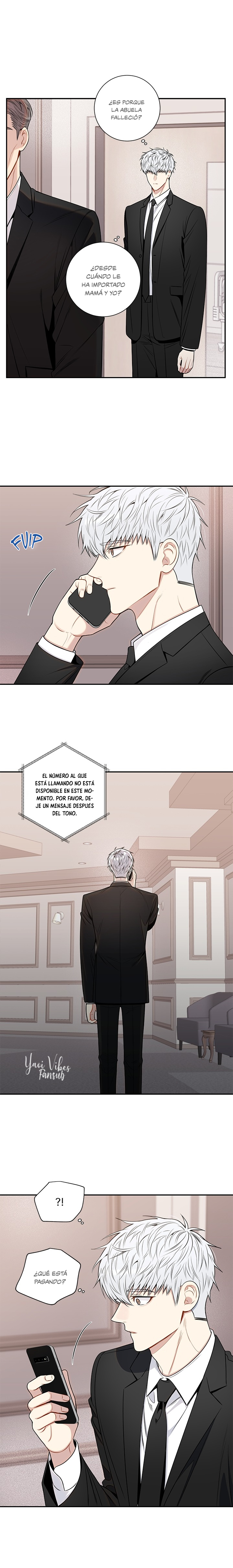 17 Flores de cerezo después del invierno T5