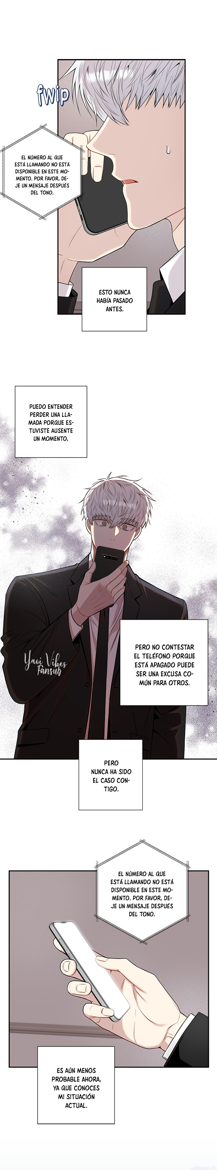 18 Flores de cerezo después del invierno T5