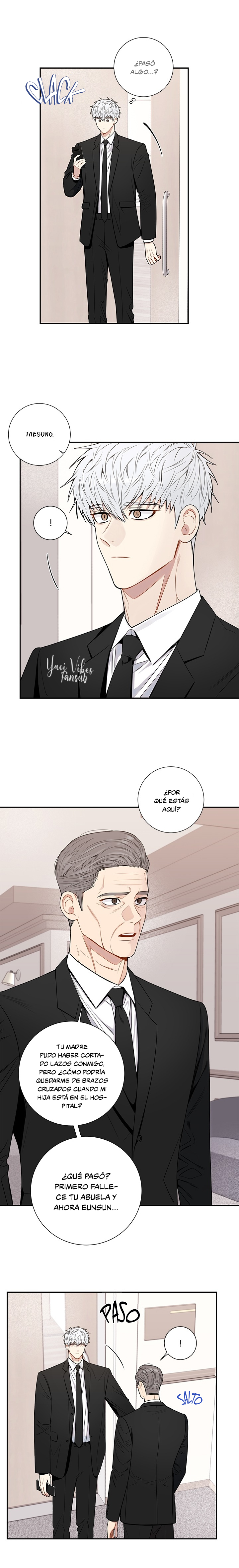 15 Flores de cerezo después del invierno T5