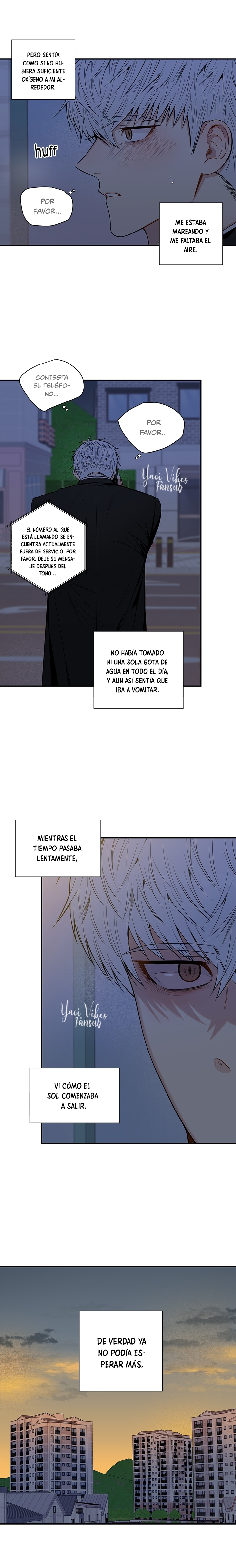 7 Flores de cerezo después del invierno T5