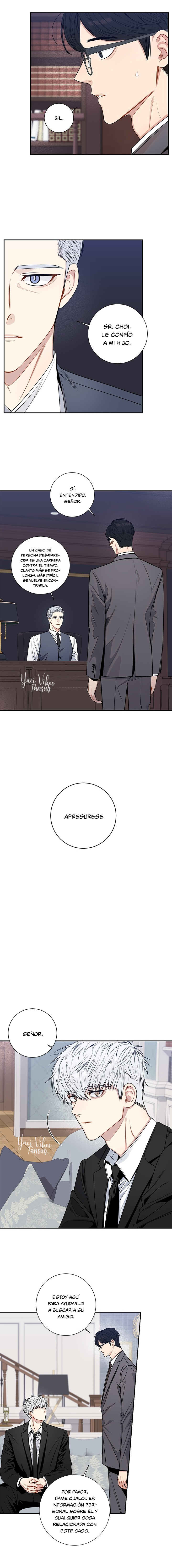 12 Flores de cerezo después del invierno T5