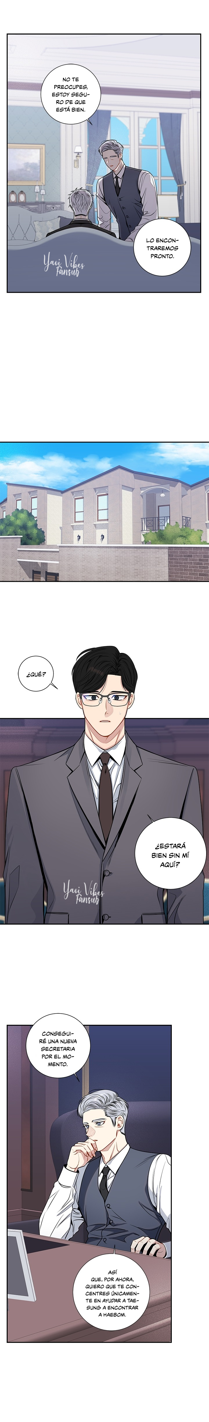 11 Flores de cerezo después del invierno T5