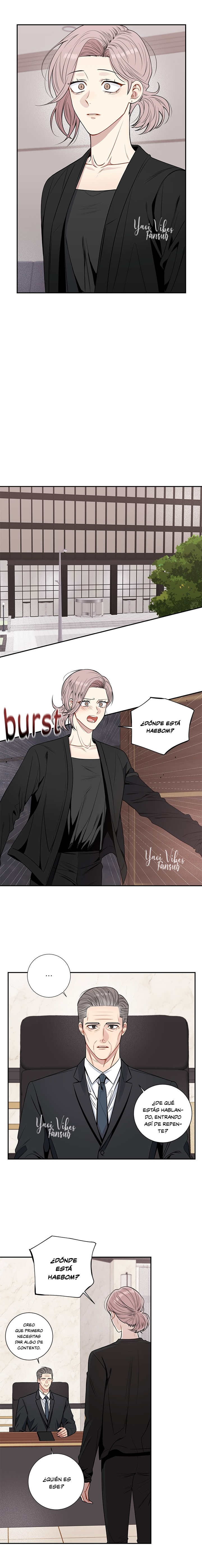 15 Flores de cerezo después del invierno T5