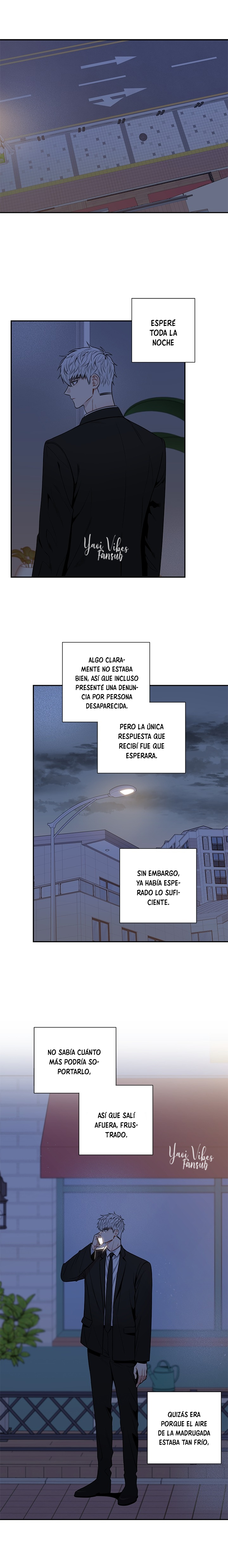 6 Flores de cerezo después del invierno T5