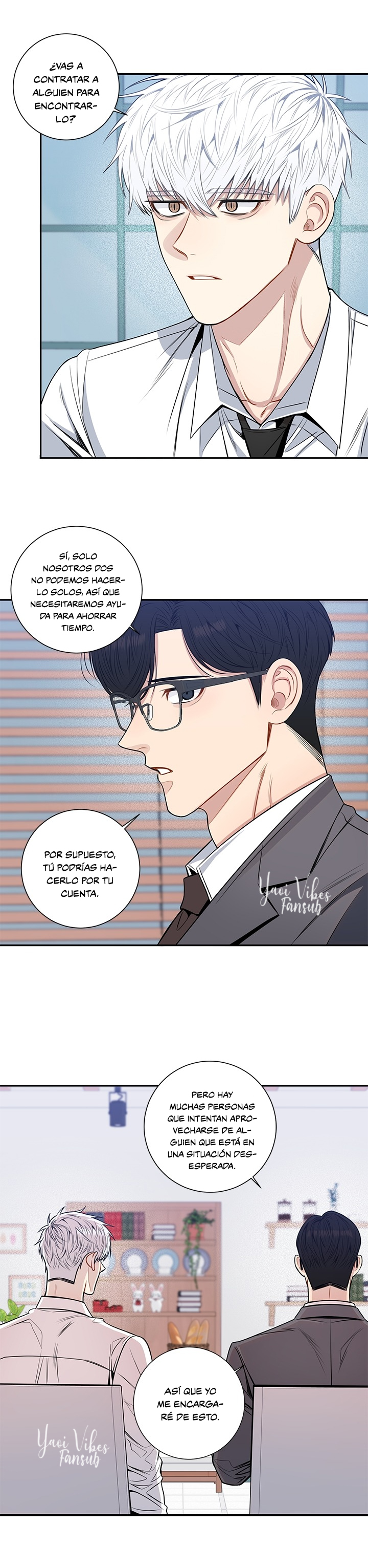 19 Flores de cerezo después del invierno T5