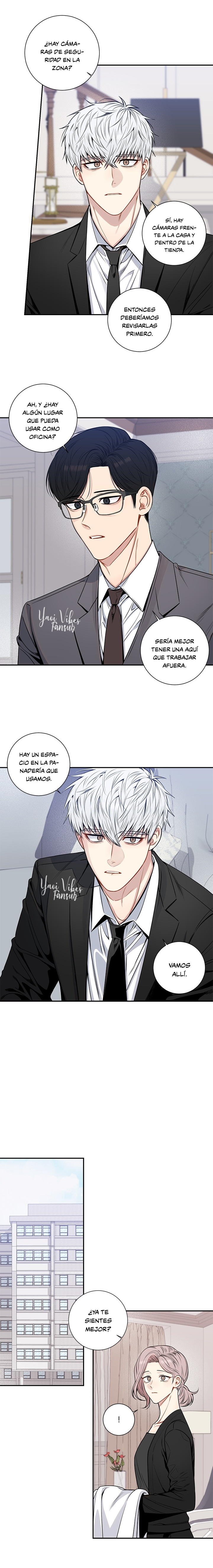 13 Flores de cerezo después del invierno T5