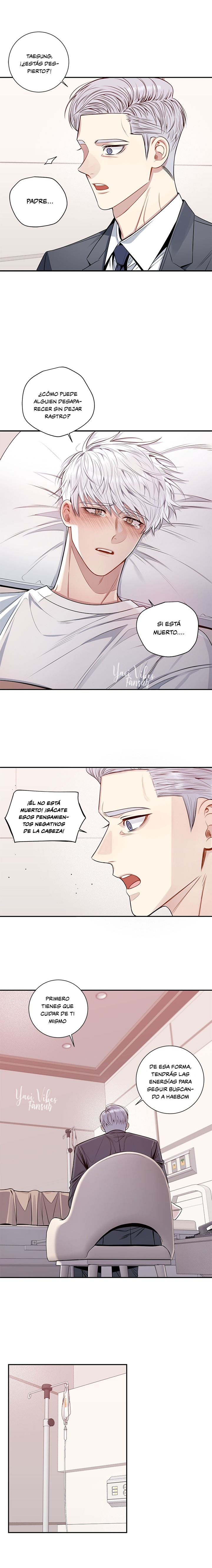 16 Flores de cerezo después del invierno T5