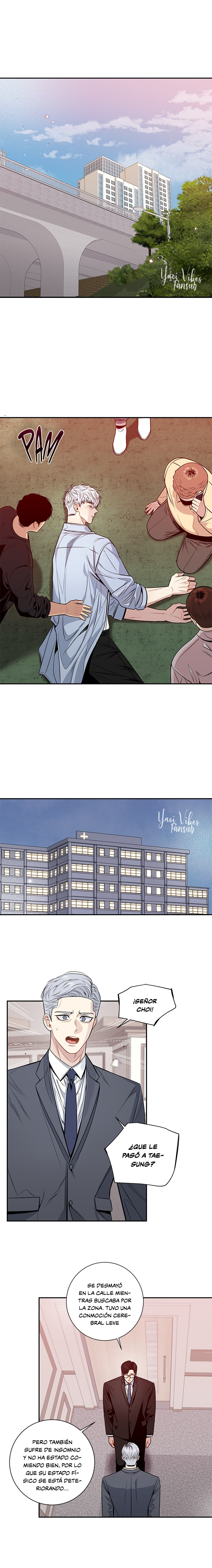 14 Flores de cerezo después del invierno T5