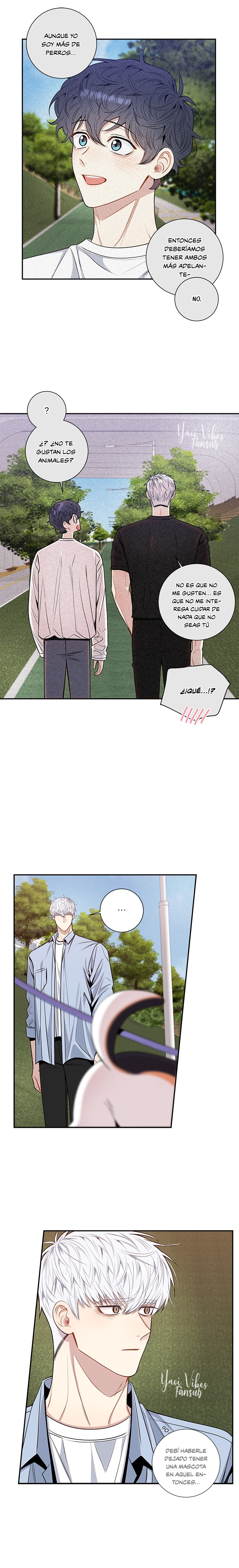 11 Flores de cerezo después del invierno T5