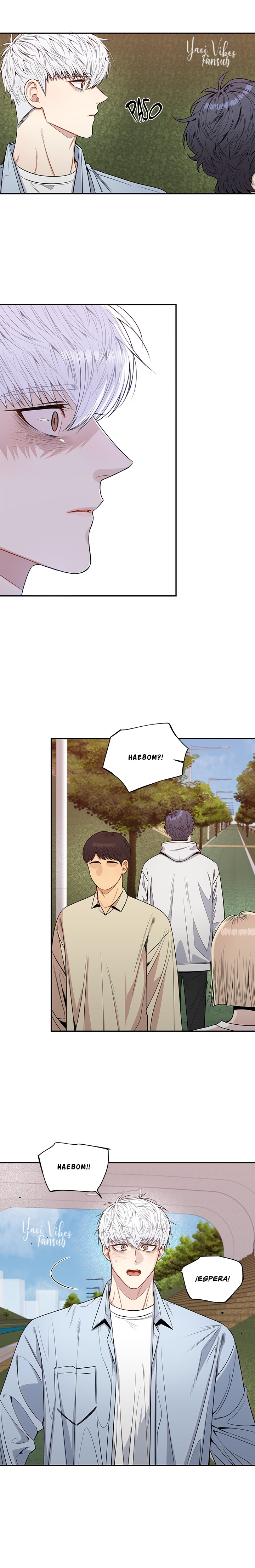 12 Flores de cerezo después del invierno T5