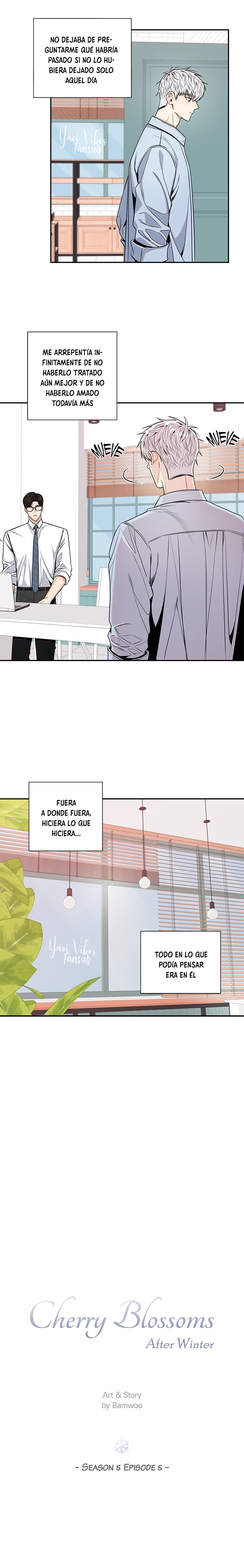 7 Flores de cerezo después del invierno T5