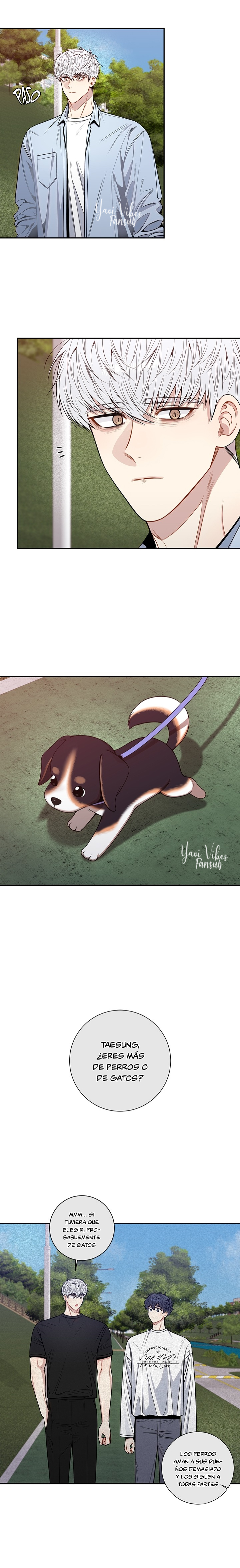 10 Flores de cerezo después del invierno T5