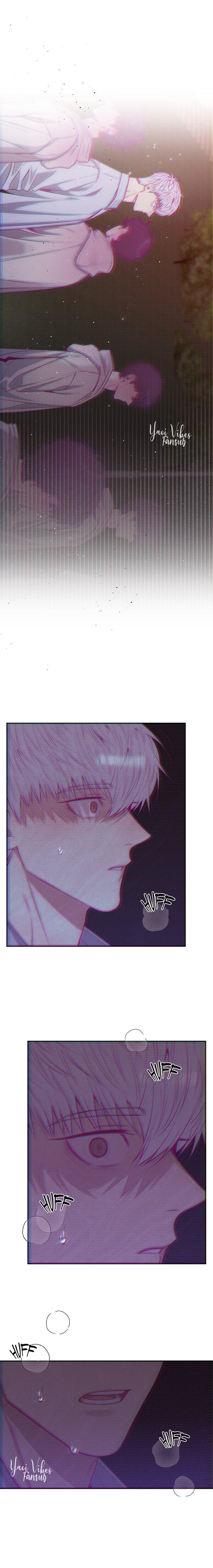 13 Flores de cerezo después del invierno T5