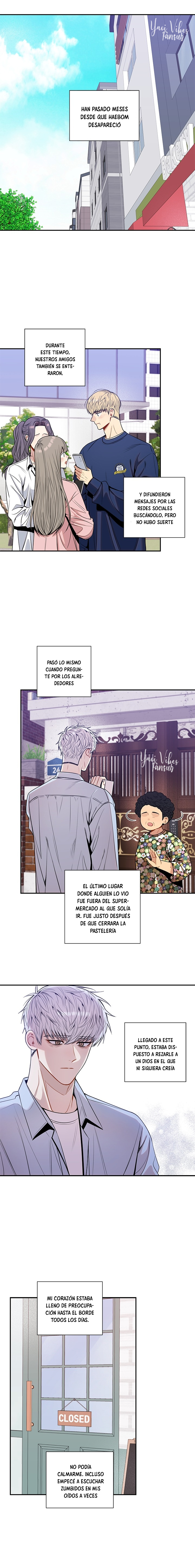 6 Flores de cerezo después del invierno T5