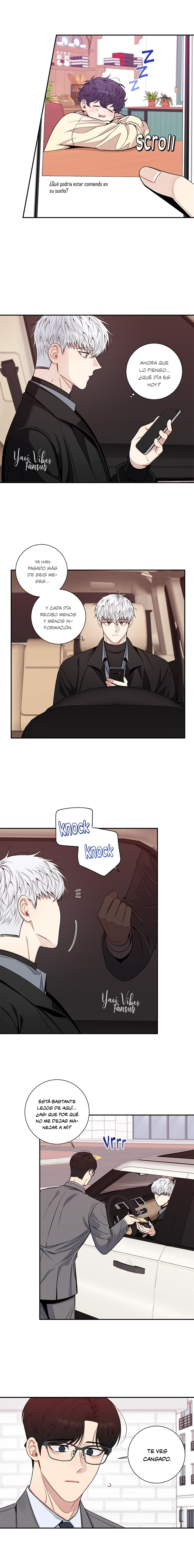 8 Flores de cerezo después del invierno T5