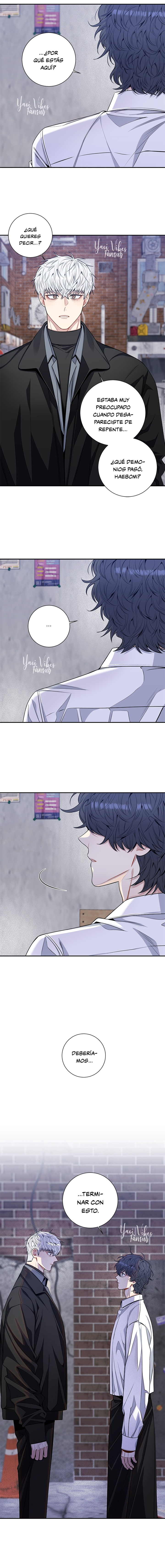 16 Flores de cerezo después del invierno T5