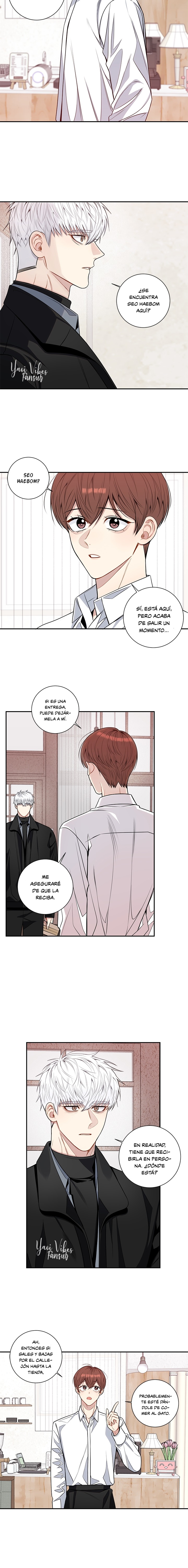 11 Flores de cerezo después del invierno T5