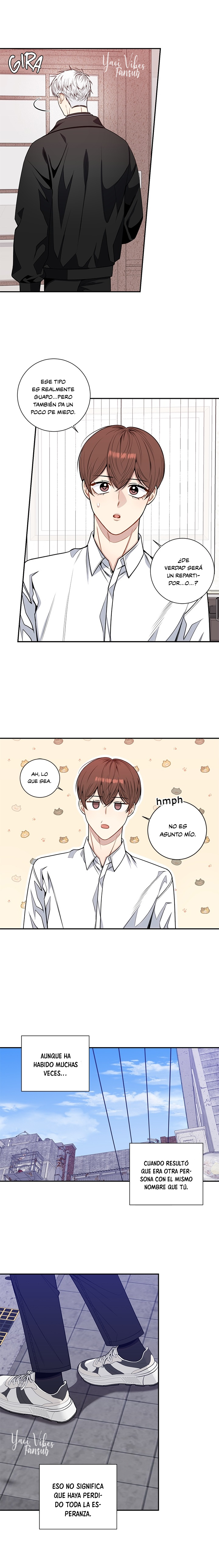 12 Flores de cerezo después del invierno T5