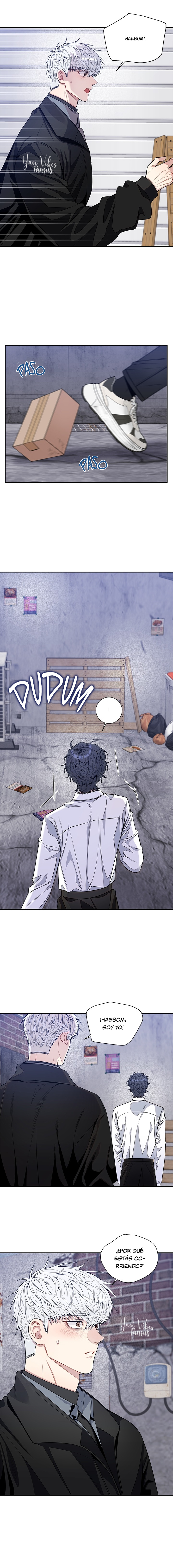 15 Flores de cerezo después del invierno T5