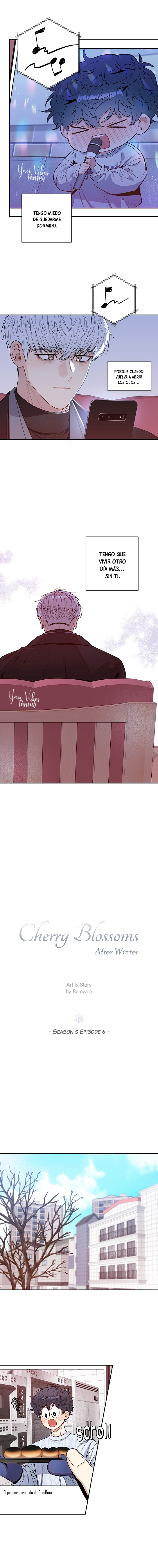 7 Flores de cerezo después del invierno T5