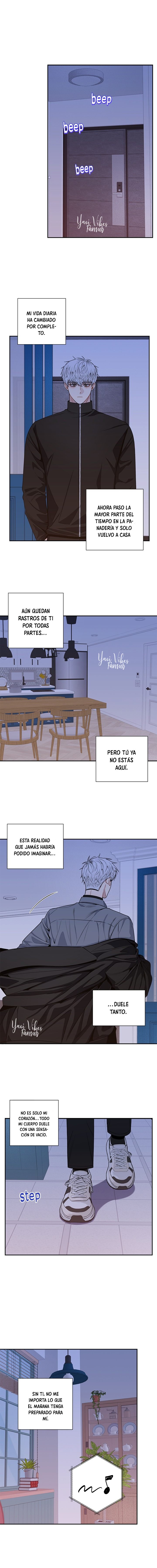 6 Flores de cerezo después del invierno T5