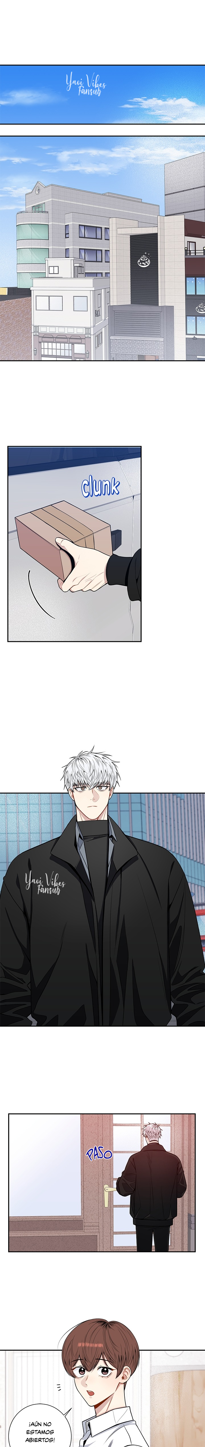 10 Flores de cerezo después del invierno T5