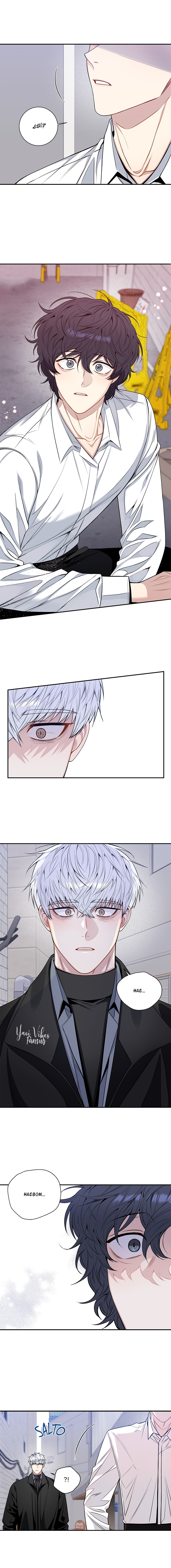 14 Flores de cerezo después del invierno T5