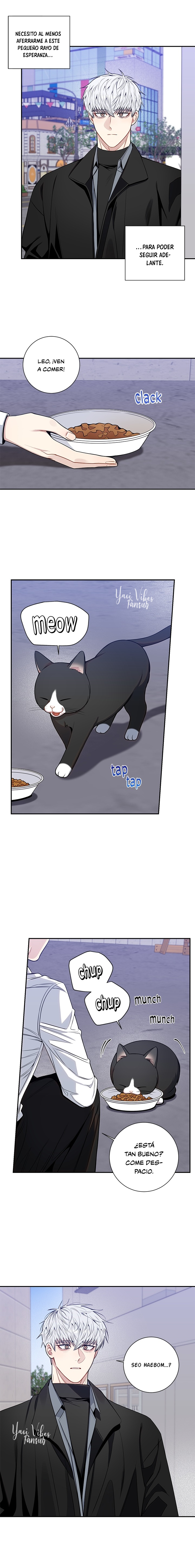 13 Flores de cerezo después del invierno T5