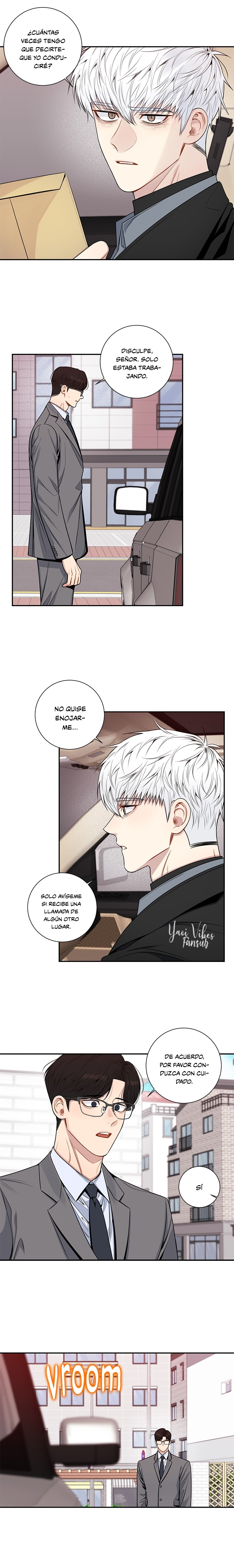 9 Flores de cerezo después del invierno T5