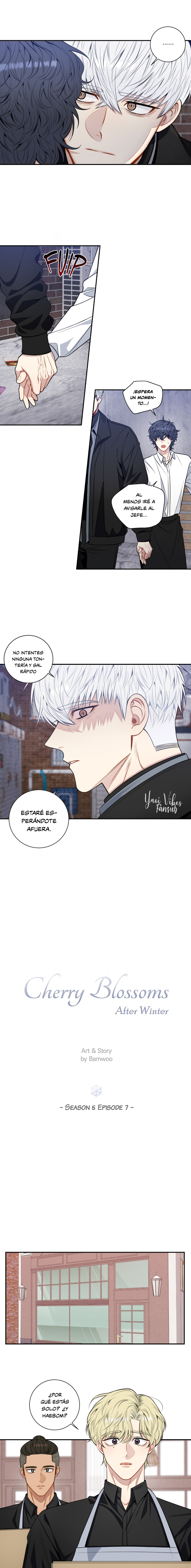 11 Flores de cerezo después del invierno T5