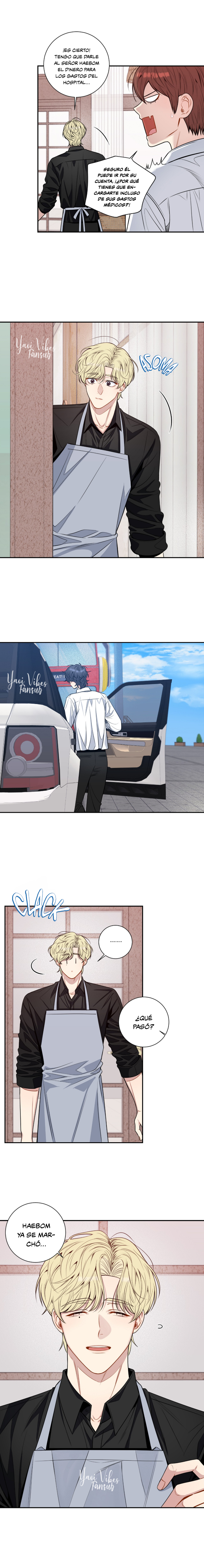 14 Flores de cerezo después del invierno T5