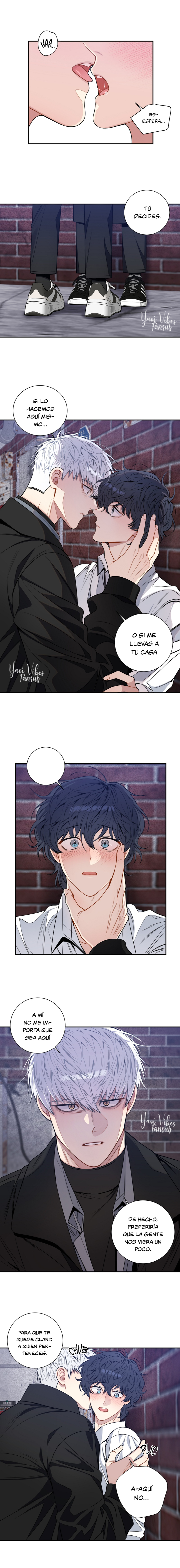 10 Flores de cerezo después del invierno T5