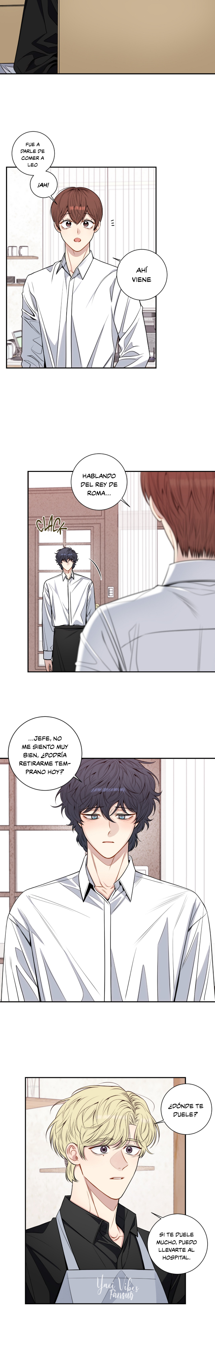 12 Flores de cerezo después del invierno T5