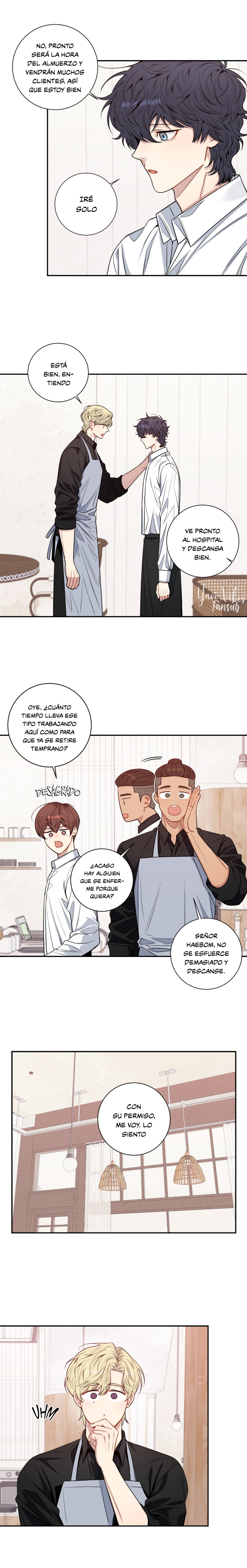 13 Flores de cerezo después del invierno T5