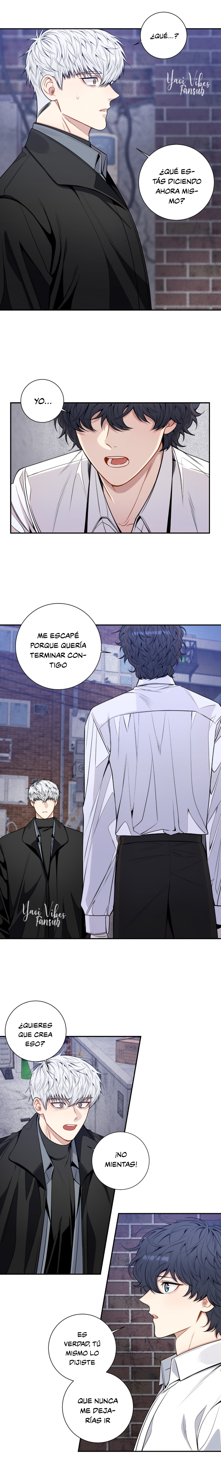 6 Flores de cerezo después del invierno T5