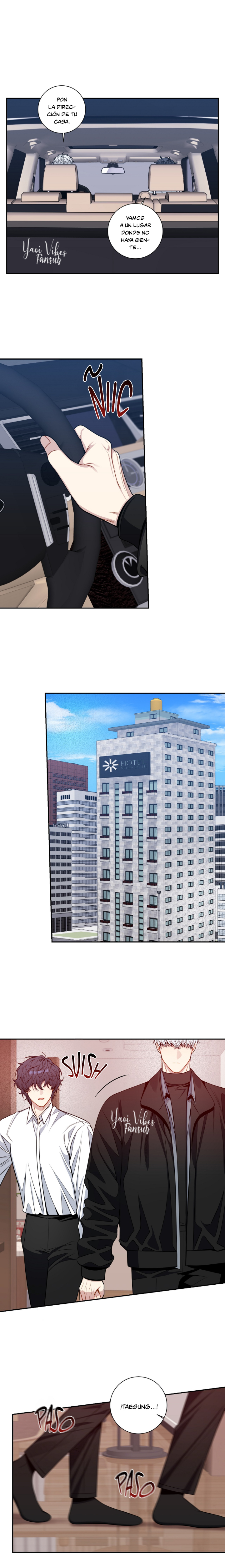 15 Flores de cerezo después del invierno T5